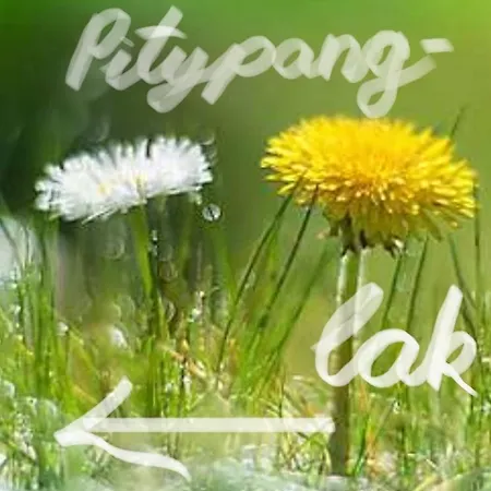 Pitypang Lak Apartment Szigetmonostor